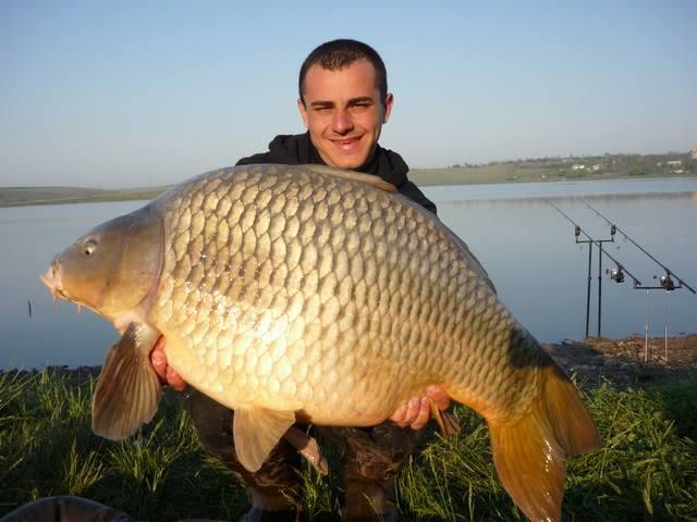 crapi de sarulesti - 14601836561648877778271079664366n.jpg